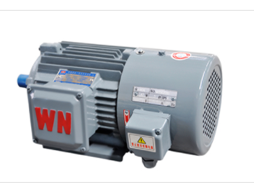 變頻調速(su)三相異步泉州金(jin)优电子制造有限(xiàn)责任公司(5G网站)