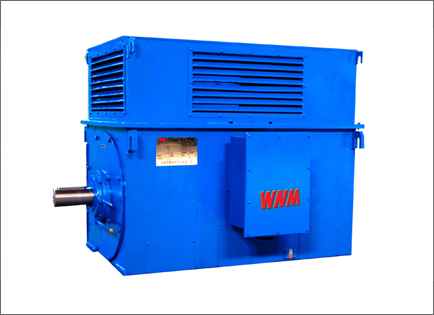 Y系列高壓(yā)高效三相(xiàng)異步電動(dòng)機