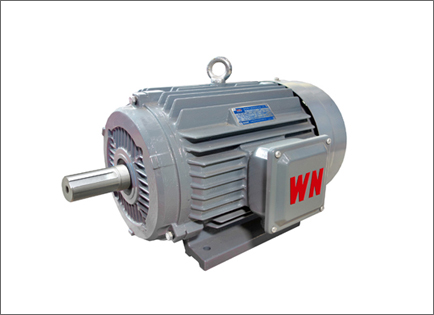 YE3系列超高(gāo)效三相異步電(diàn)動機