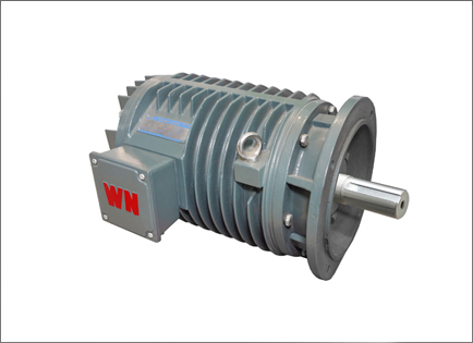 YG系(xì)列輥道(dào)用調速(su)三相異(yì)步電動(dong)機