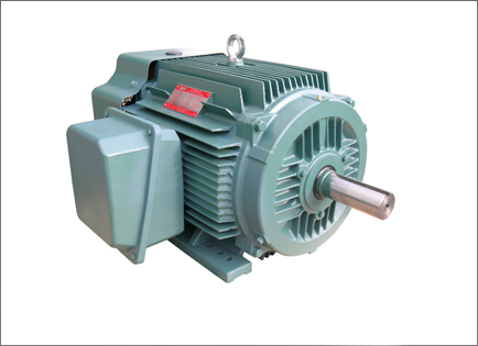 NEP系(xi)列超高效率三相(xiàng)異步電動機