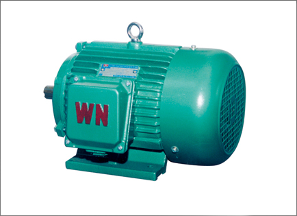 YDT系(xì)列變多(duō)速三相(xiang)異步電(diàn)動機