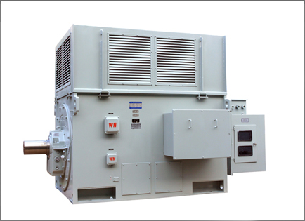 YR系列(liè)高壓三相(xiàng)異步電動(dong)機