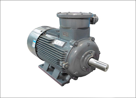 YBX4系列超高效(xiào)率隔爆型三(sān)相異步電動(dong)機