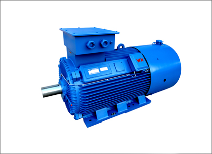 YLVF低壓大功(gong)率變頻電動(dong)機
