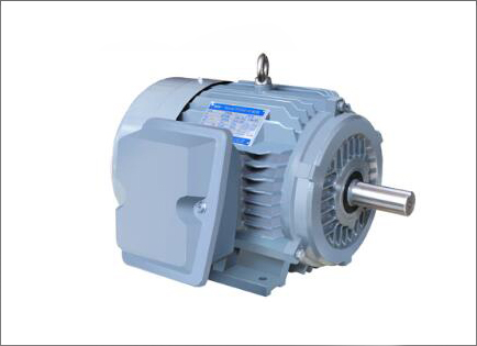 NE系(xi)列高效高轉矩三(sān)相異步電動機