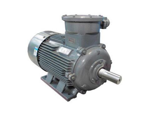 YBX3系列(lie)高效率(lǜ)隔爆型(xing)三相異(yì)步電動(dòng)機