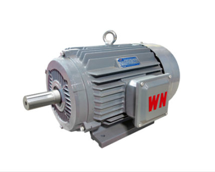 如何确定高(gao)效節能電機軸(zhou)承更換時間