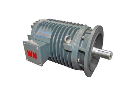 YG系列輥道(dao)用調速三相異步(bu)電動機