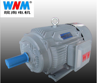 變頻(pín)電機優點(diǎn)有哪些